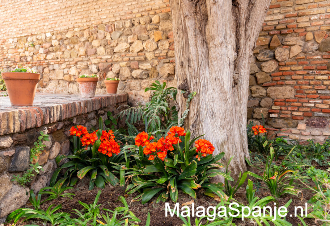 Parks Málaga, die 8 schönsten Parks von Málaga Malaga Spanien
